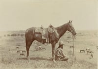 Image of The Band With No Name